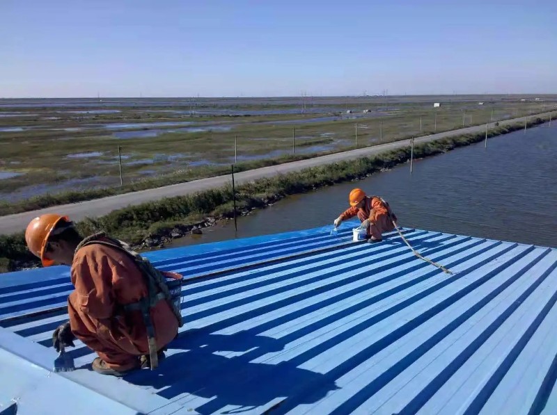 泌阳钢结构屋面漏水原因